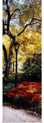 Lamppost in a park, Central Park, Manhattan, New York City, New York