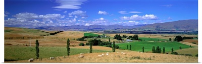 Landscape Fairlie New Zealand