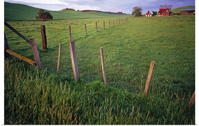 Landscape With Farm And Fenceline