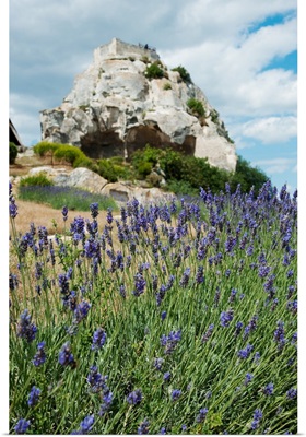 Lavender field in front of ruins of fortress on a rock, Les Baux-de-Provence, France