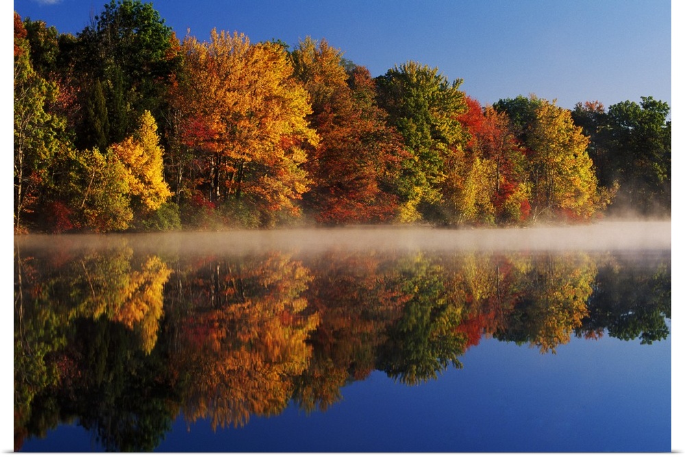 Large photograph displays a Fall colored tree line reflecting perfectly over a calm body of water with a small amount of f...
