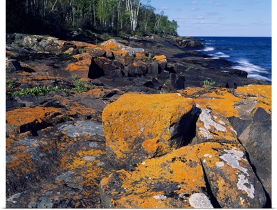Lichen-covered boulders on Lake Superior shoreline, Cascade River State Park, Minnesota