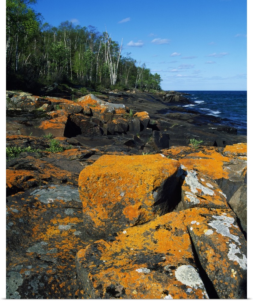 Canvas photo art of big rocks along a shoreline with a forest in the background.
