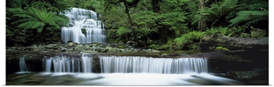 Liffey Falls Tasmania Australia