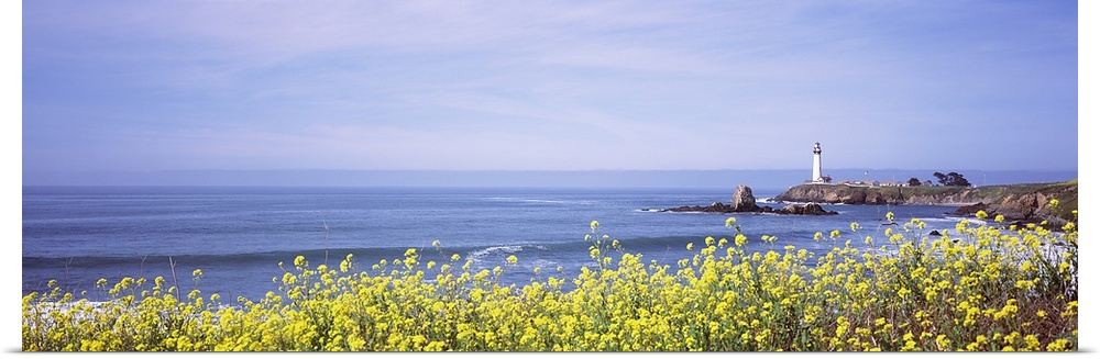 USA, California, San Mateo County, Pigeon Point Lighthouse, Spring