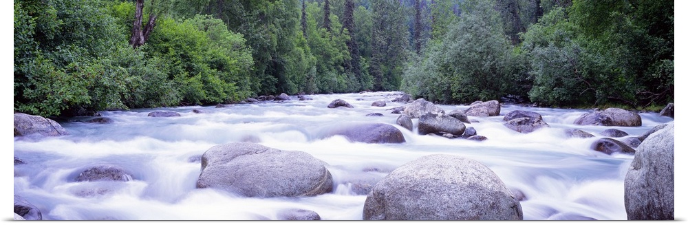Little Susitna River AK