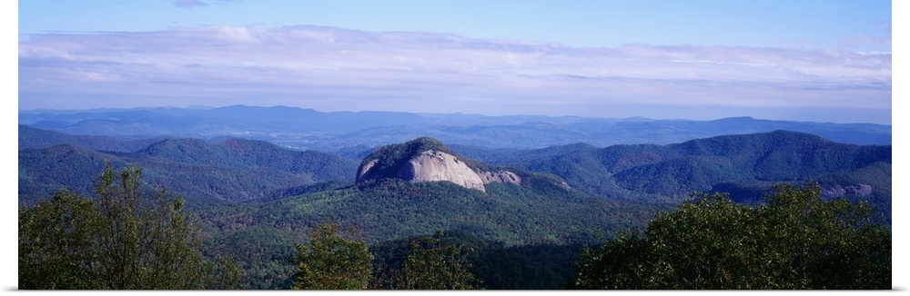 Panoramic, high angle photograph of treetops in front of a distant Looking Glass Rock, surrounded by green mountains along...