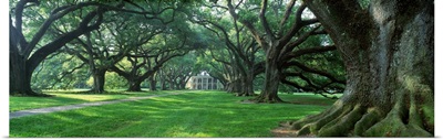 Louisiana, New Orleans, plantation home through alley of oak trees