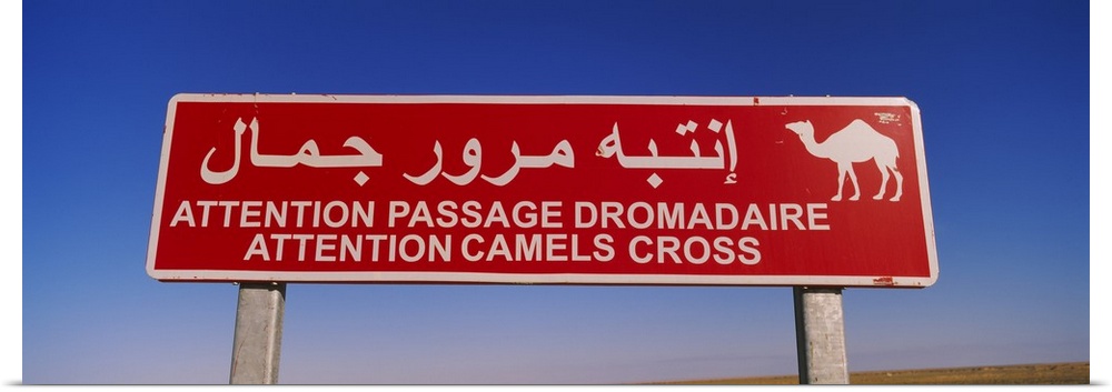 Low angle view of a camel crossing signboard, Douz, Tunisia