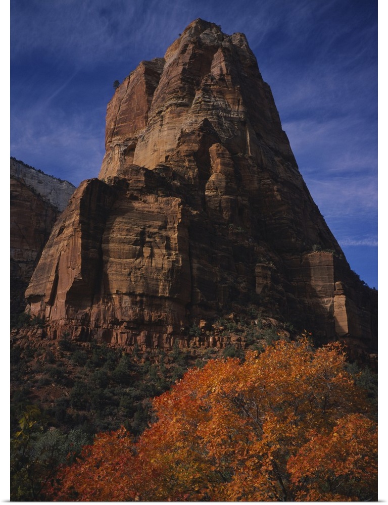 Low angle view of a cliff, Zion National Park, Utah