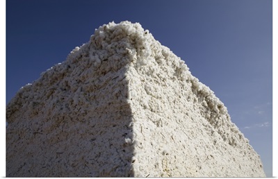 Low angle view of a heap of cotton, Wellington, Texas