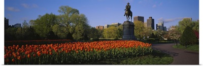 Low angle view of a statue in a garden, George Washington Statue, Boston Public Garden, Boston, Massachusetts