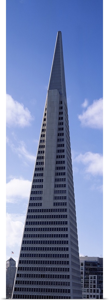 Transamerica Building, San Francisco CA. Vertical of Transamerica Pyramid Building, in San Francisco CA.