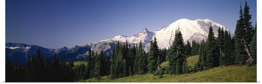 Low angle view of mountains, Mt Rainier, Washington State