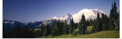 Low angle view of mountains, Mt Rainier, Washington State