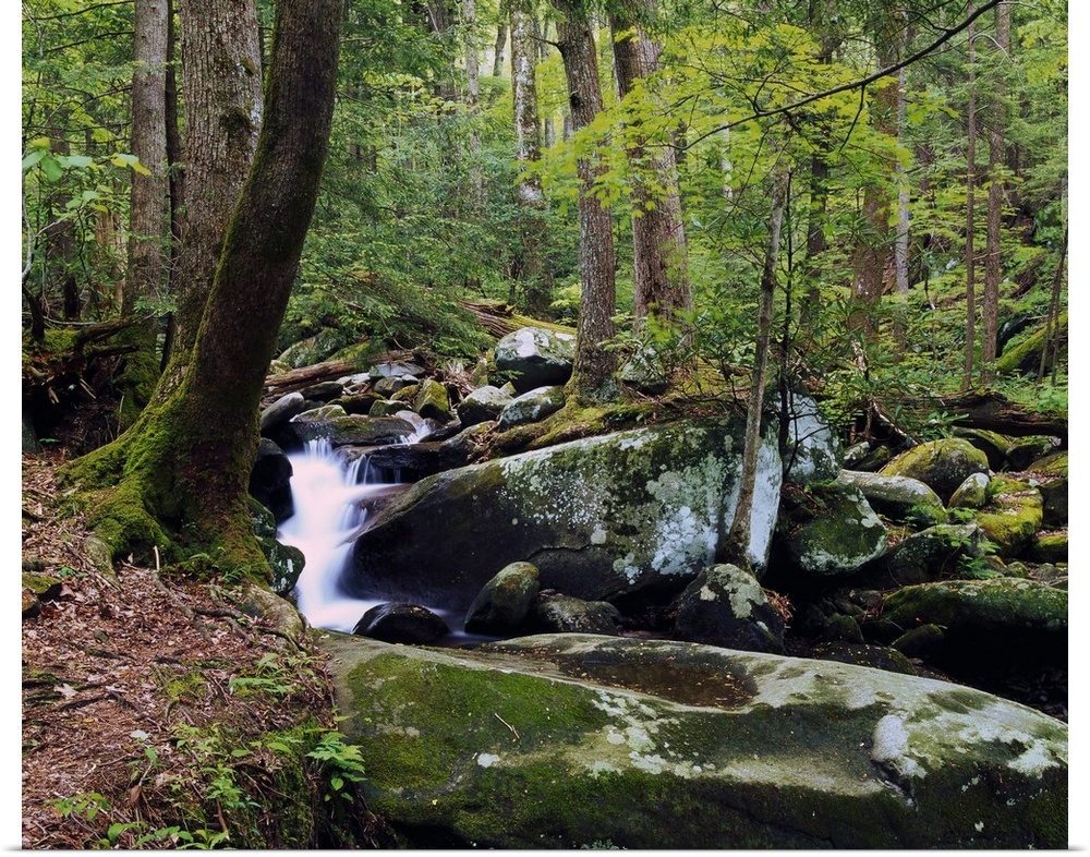 Picture taken of a waterfall surrounded by large and small rocks in a thick green forest.