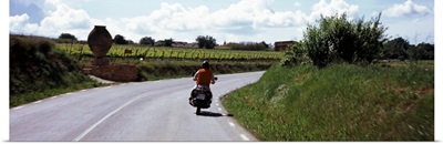 Man riding a motorcycle on a road with vineyards in the background, Penedes, Catalonia, Spain