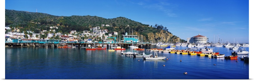 Wide angle shot of boats that are docked in the marina in Catalina California.