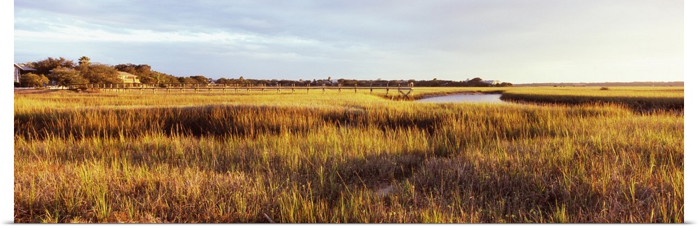Marsh at sunset St Augustine Beach, Florida