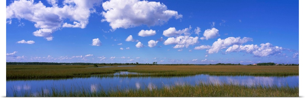 Marsh land, St. Augustine, St. Johns County, Florida, USA