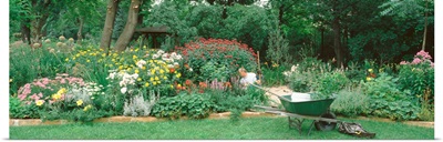 Mature man working in a garden, Hinsdale, Illinois