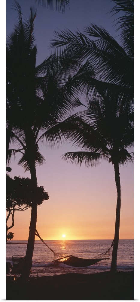 Vertical panoramic of two tall palm trees with hammock on beach at sunset.