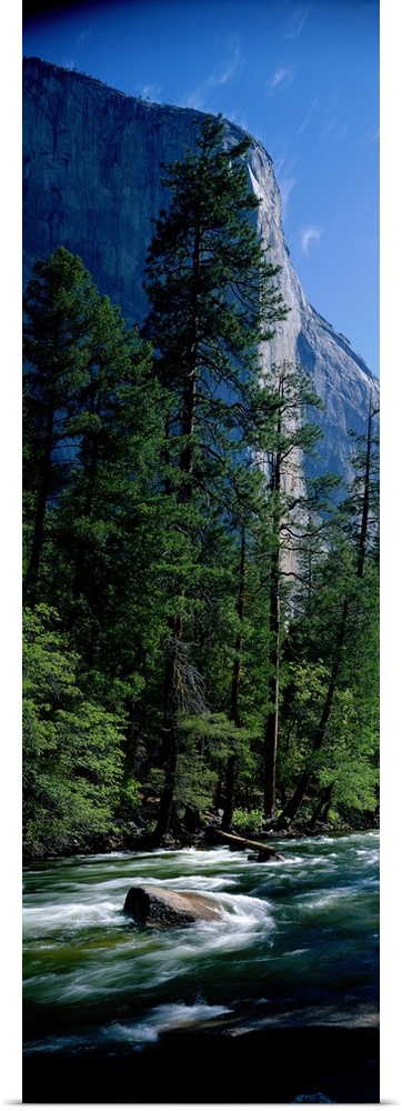 Merced River and El Capitan Yosemite National Park CA