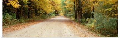 Michigan, Leland, Road passes through a forest
