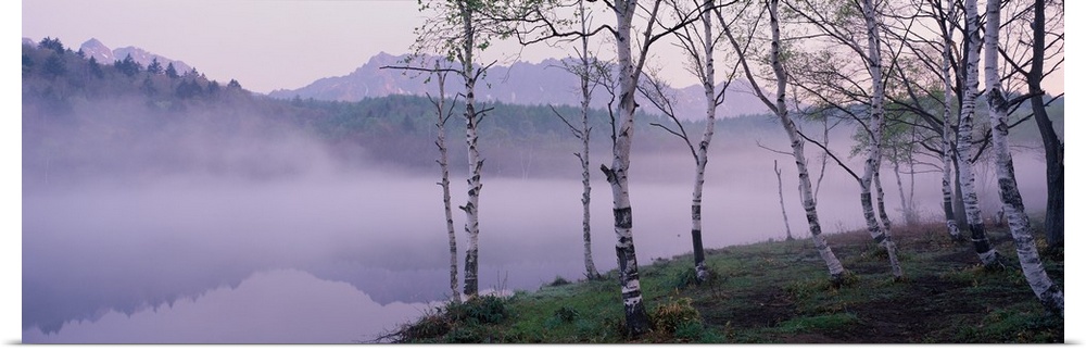 Mist over a Lake, Togakushi, Nagano, Japan