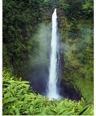 Misty Akaka Falls, Akaka Falls State Park, Big Island of Hawaii, Hawaii