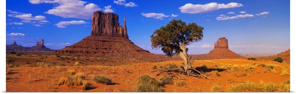 Long horizontal photo on canvas of rock formations in the desert of Arizona.