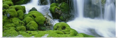 Moss and Stream Gunma Japan