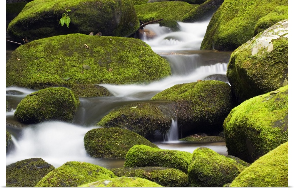 Large rocks are covered with moss as water runs down them.