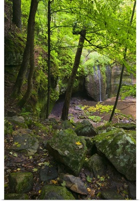 Mossy boulders and lush foliage beside Stephens Falls, Governor Dodge State Park, Wisconsin