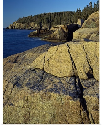 Mount Desert Island shoreline, Acadia National Park, Maine