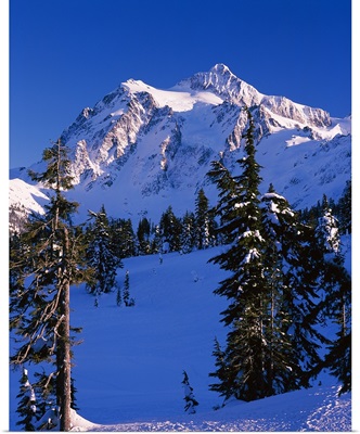 Mountain covered with snow, Mt Shuksan, North Cascades National Park, Whatcom County, Washington State,
