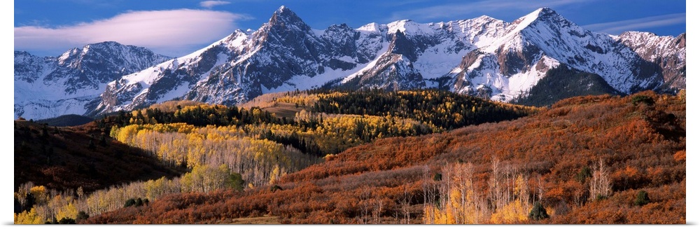 Giant landscape photograph of a golden brown Colorado valley in front of snow covered mountains under a blue sky.