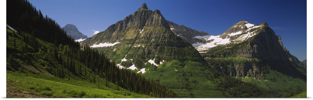 Mountains in a national park, Glacial Valley, Logan Pass, Continental Divide, Rocky Mountains, US Glacier National Park, M...