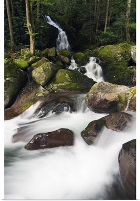 Mouse Creek Falls into Big Creek, Great Smoky Mountains National Park, Tennessee