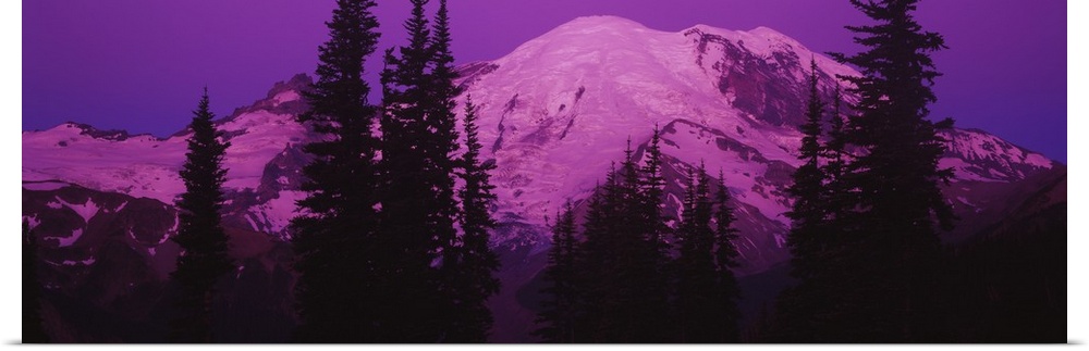 Mt Rainier at Sunrise, Washington State