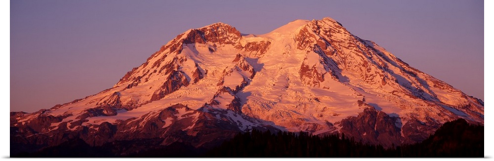 Panoramic print of Mt. Rainier bathed in warm sunlight.