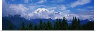 Mt. Rainier National Park WA