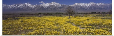 Mt Williamson Sierra Nevada Mountain Range CA