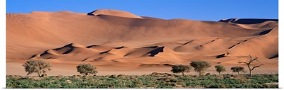 Namib Desert National Park Namibia Africa