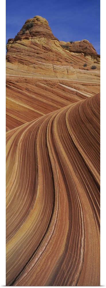 Natural pattern on rocks, Paria Canyon-Vermillion Cliffs Wilderness Area, Arizona-Utah Border