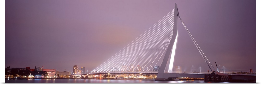 Netherlands, Holland, Rotterdam, Erasmus Bridge