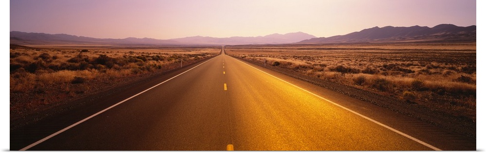 Long horizontal canvas photo of a long two lane road going straight into the distance of a desert landscape.