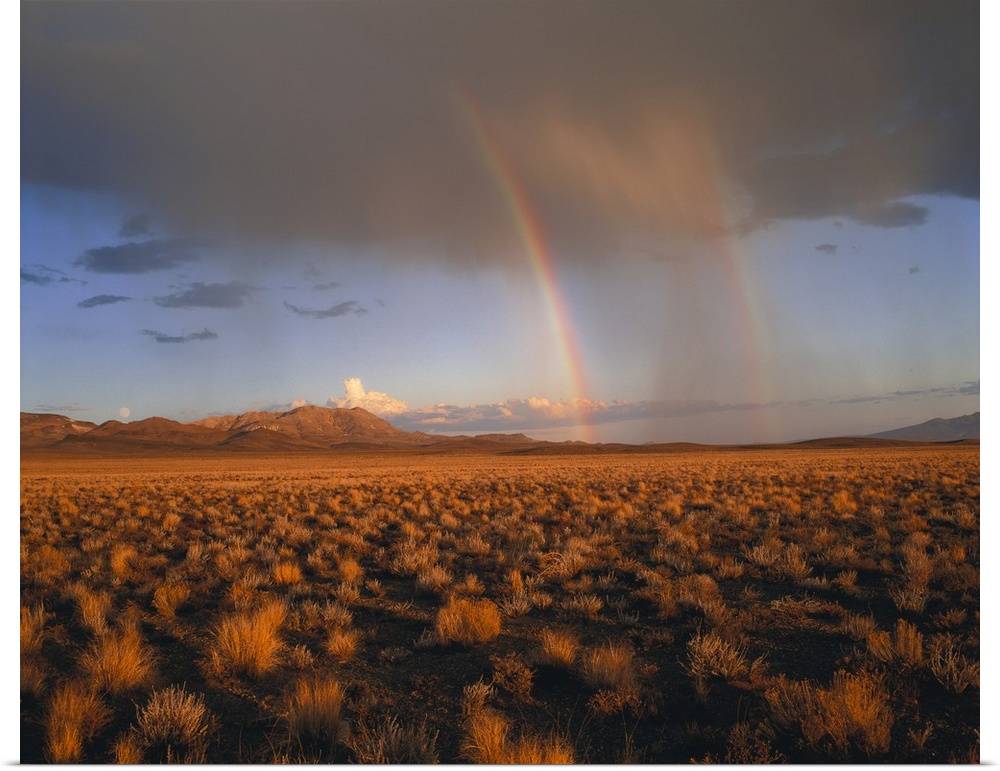 The open desert is photographed largely with a storm in the background and a double rainbow shown.