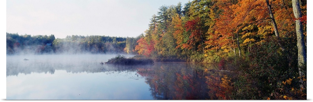 New Hampshire, White Mountains National Forest, Deciduous trees along the Chocorua Lake