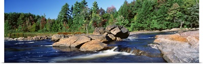 New York, Adirondack State Park, Moose River, River flowing through the forest